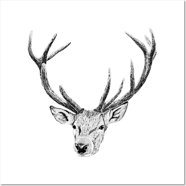 Hand drawn Red Deer Wall Art by jitkaegressy